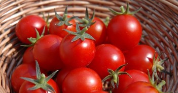 10 เหตุผล ทำไมคุณแม่ท้อง ควรกินมะเขือเทศ!! tomatoes-basket