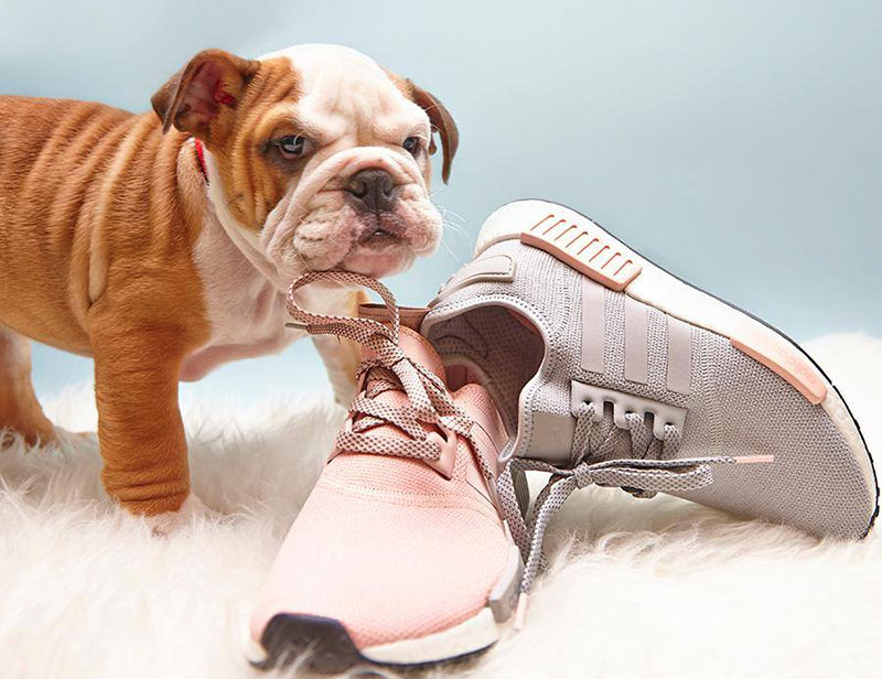 Adidas NMD Exclusive OFFICE Shoes รองเท้าผ้าใบ