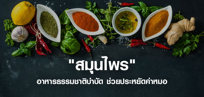 สมุนไพร อาหารธรรมชาติบำบัด ช่วยประหยัดค่าหมอ สมุนไพร