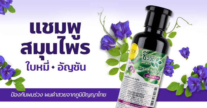 บอกลาผมร่วงด้วยแชมพูสมุนไพรใบหมี่ – อัญชัน ชีววิถี-seo-banner_700x367px