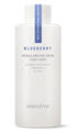 innisfree Blueberry rebalancing skin